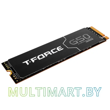 SSD диск Team T-Force G50 2TB (TM8FFE002T0C129) картинка 4